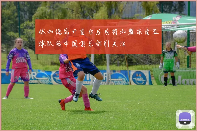 林加德离开首尔后或将加盟东南亚球队或中国俱乐部引关注